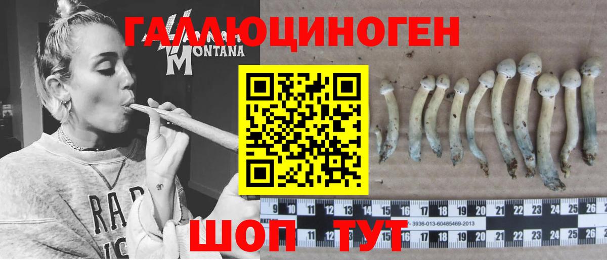 Дивногорск  Псилоцибиновые грибы мухоморы  Вход с VPN 